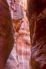 Al Siq Canyon in Petra, Jordan, sandstone walls