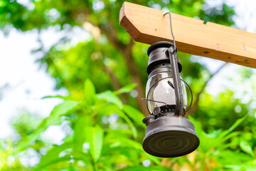 Closeup of oil lamp on tree, blurred green nature background. Nature theme