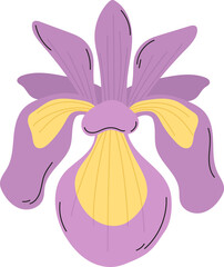 iris flower plant floral decoration clipart