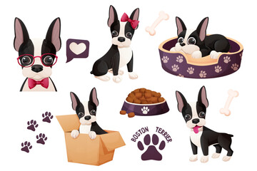 Set Cute Boston terrier stickers, cool sweet puppy in cartoon style isolated on white background. Cute dog, print design - obrazy, fototapety, plakaty