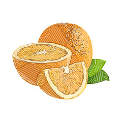 fresh fruit image design with color dividing line and transparent background