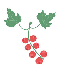 Berries red currant. Illustration of red berries on a twig
