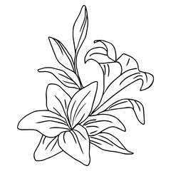 One line flower. Vector lily. Mono-line illustration. Vector illustration. 