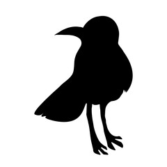 
Predatory bird. Bird silhouette. Black posky bird design. Transparent background.