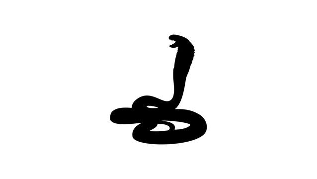 Cobra silhouette