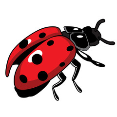 red beetle fly, art line, vector illustration