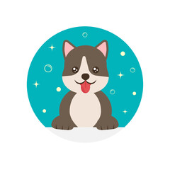 Colorful cute cartoon dog. Funny vector illustration. Vector illustration design. Vector drawing. Cartoon illustration. Vector isolated icon. Funny cartoon character. Vector illustration