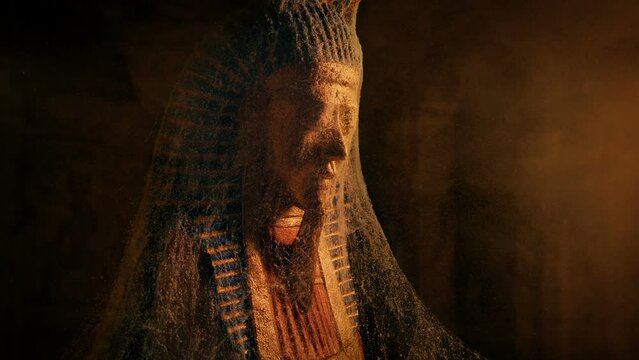 Dusty Egypt Golden Figure In Golden Sunlight