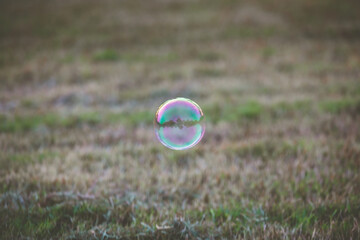 soap bubble fly on the air in the nature public park.