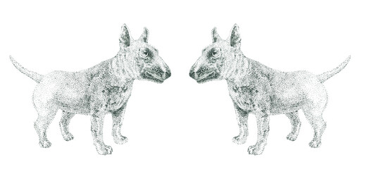 Bull Terriers stand symmetrically together. Dog club symbol. Dotted pattern.
