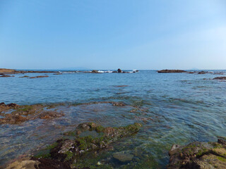 春がやってきた伊豆の海