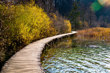 Naklejka premium Plitvice Lakes National Park during colorful autumn, Croatia, Europe. Fall colors leafs on trees. Waterfalls and water in sunny morning light with fog. Landscape photography. View of Plitvicka Jezera.