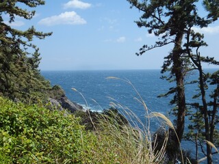 伊豆半島　春の海岸