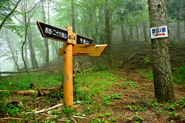道志山塊の今倉山　霧の西ヶ原の分岐
西ヶ原は山梨県の東部、御座入山（西峰）と赤岩（松山）との鞍部に位置する道志山塊の峠。森の中の峠には道標のみ立っている。今倉山と赤岩（松山）を結ぶ縦走路にあり、パラジマ沢沿いに南の道坂トンネル駐車場へ下る分岐地点でもある。
