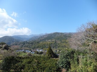 伊豆半島、春の丘