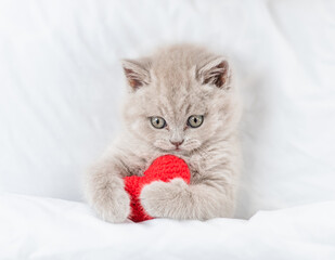 Cute grey kitten hugs red heart on a bed under warm white blanket. Valentines day concept. Top down...