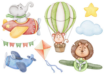 Set with animal pilots and air transport