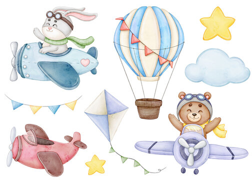 Set with animal pilots and air transport