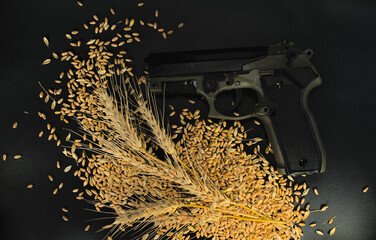 Gun on a black background and grains of wheat scattered around