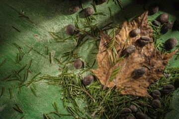 Still life on the kitchen table. Brown roasted beans on a dark green background