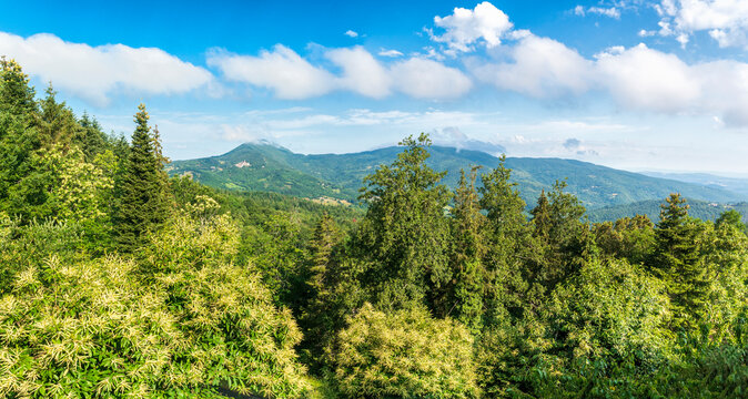 Morgenstimmung &uuml;ber Gerfalca im  Colline Metallifere
