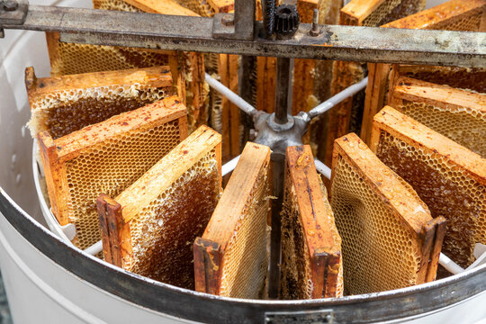 Apiculture - A la miellerie - Cadres remplis de miel rang&eacute;s dans un extracteur &agrave; manivelle
