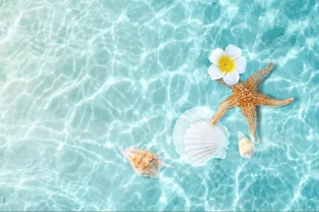 Zelfklevend Fotobehang Starfish and flower on the summer beach in sea water. Summer background. © Belight