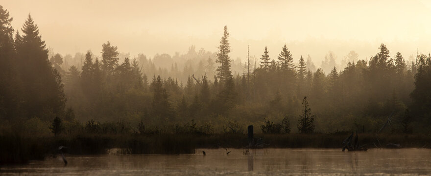 Morning mist at sunrise over the woods in northern Maine, as seen from a kayak on Spencer Pond.