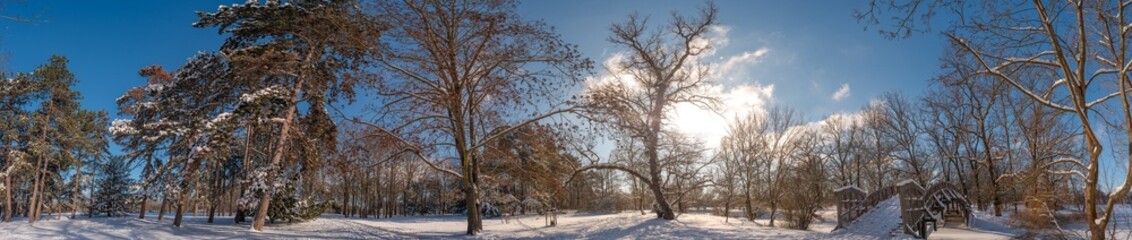 Panoramic view over city park with icy trees and snow during sunrise in the morning with warm illumination and blue sky, Magdeburg, Germany.