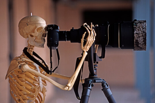 Skeleton with camera and big lens.