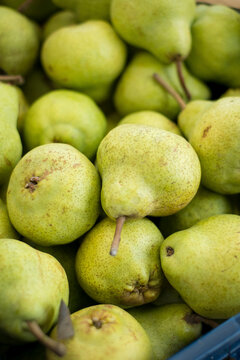 Pears are sold in a market in Buonconvento, Italy.
