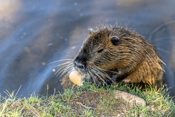 Bezauberndes Tschechien