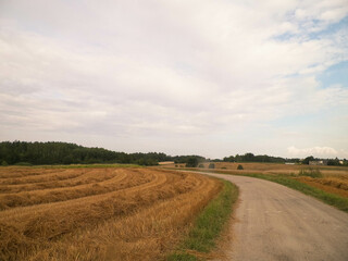 Fototapeta na wymiar Autumn season agriculture. Fields and meadows of Kashubia.