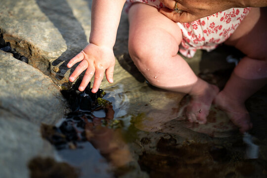 baby in a rockpool at the beach in australia