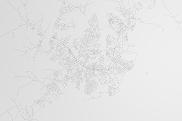 Map of the streets of Bissau (Guinea-Bissau) on white background. 3d render, illustration