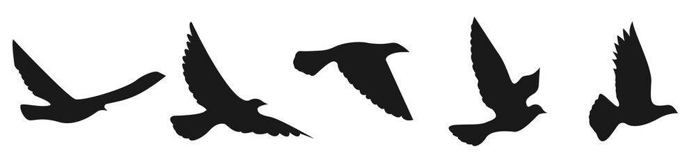 Vector silhouette of a flying bird. Inspiring ink for flash tattoos on the body. The concept of freedom and flight. Design element for tattoos, apps and websites