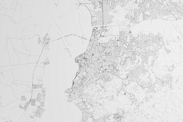 Map of the streets of Porto Alegre (Brazil) on white background. 3d render, illustration
