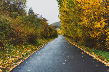Small asphalt road in the autumn park.