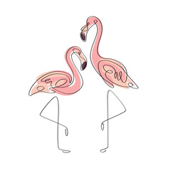 Couple of flamingo, loving couple. One line drawing of exotic flamingo. Decorative element in outline style for greeting card and invitation.