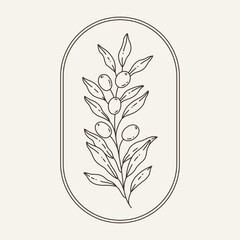Fototapeta na wymiar Vector logo design template - branch of olive. Contour vector illustration for logo, emblem, badge, insignia.