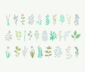 Vector collection of plants, forest herbs, tropical leaves, flowers. Botanical set. Pastel colors, minimalistic design. Clipart for package,  flyers, posters.