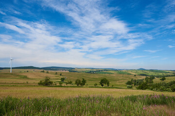 Obraz premium Auf dem Erzgebirgskamm bei Adolfsgrün im Grenzgebiet