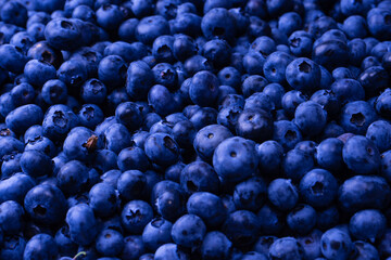 Fresh blueberry background. Texture blueberry berries close up.