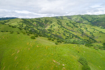 Upper Cottonwood Creek Wildlife Area. Beautiful Nature and Landscape. Green area with Cloudy Sky. Close to San Luis Reservoir. California, USA. Drone
