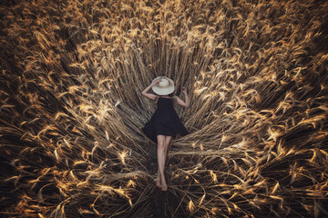 Aerial top view of a young relaxed woman lies among a wheat field at sunset. summer holidays, vacation and people concept.