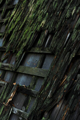 Naklejka premium Old wooden roof with green moss in nature.