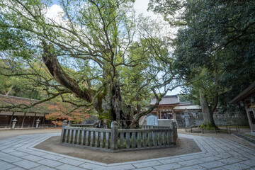 大山祇神社