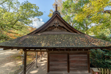 大山祇神社