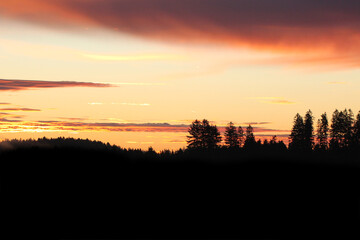 horizontal banner of twilight  scene with woods at sunrise with red clouds