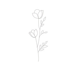 Line drawing flower illustration